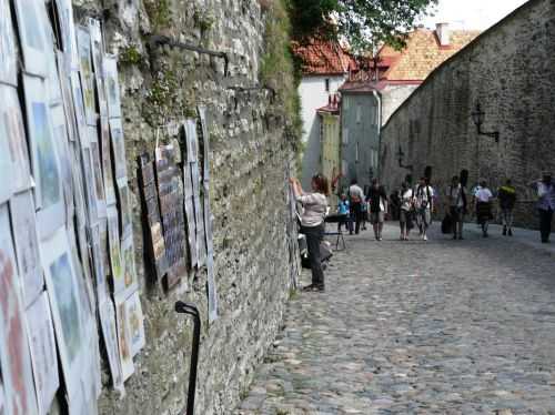 MARATONA DI TALLINN 2013